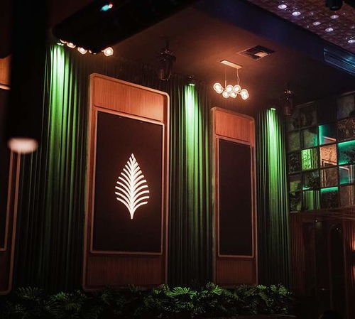 Café de Palma 打造沉浸式熱帶飲品品牌形象與網頁設計